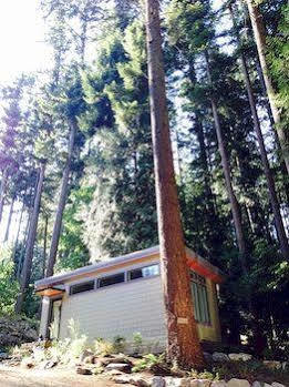 Nectar Yoga B&B On Bowen Island Horseshoe Bay Eksteriør bilde